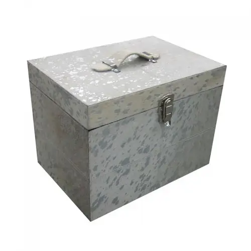 By Kohler  Trunk 40x28x30cm (Silver Foil) SALE (110016)